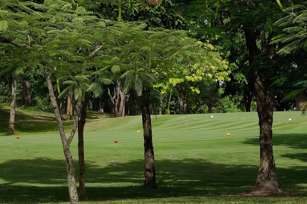 피닉스 골드 골프 앤 컨트리클럽