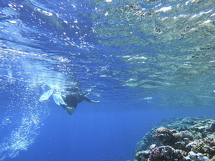 코 사메산 스노클링+카약 일일투어