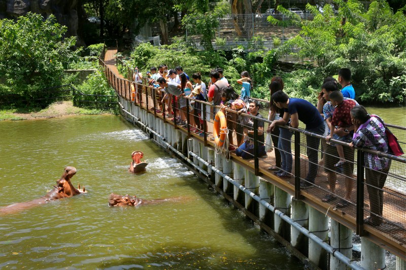 카오키여우 동물원 반일투어