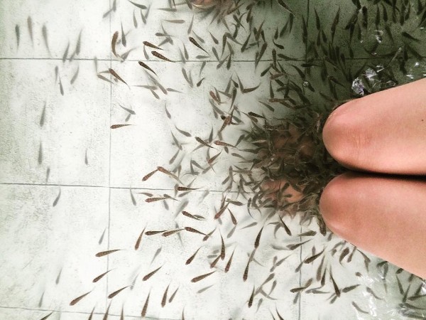 호아푸탄 래프팅 반일투어