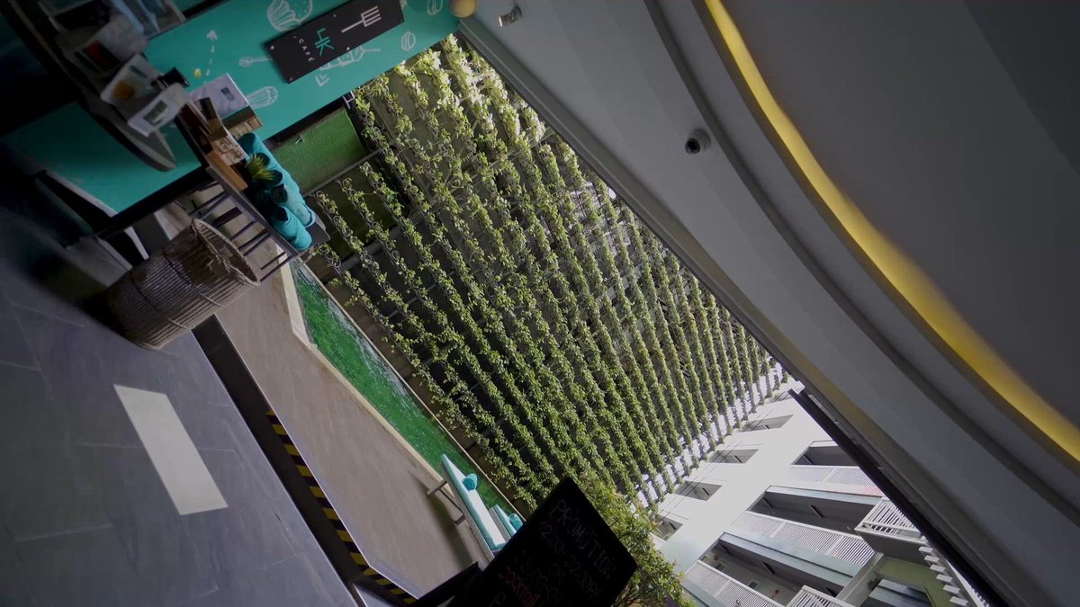 크로스 바이브 디셈 님만